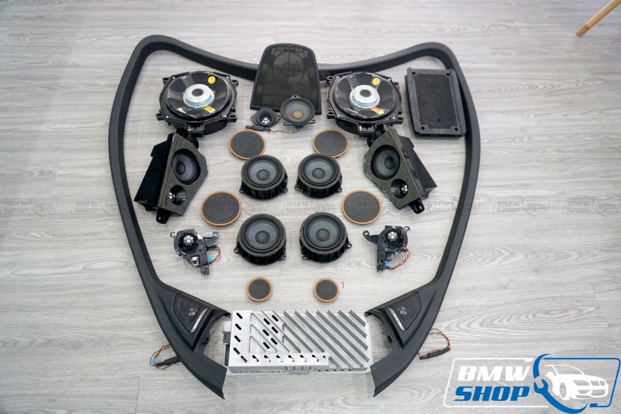 Loa Harman Kardon BMW X5 F15 X6 F16